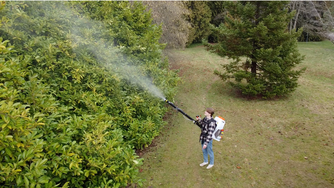 Best Mosquito Foggers for Florida in 2025: How to Protect Your Yard Year-Round